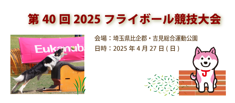 第40回2025フライボール競技大会