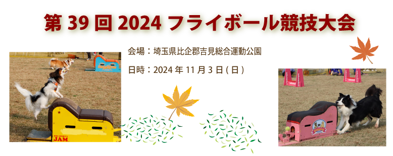 第39回2024フライボール競技大会